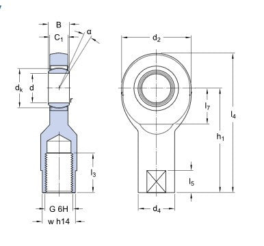 SKF SIL 20 C gewrichtskop