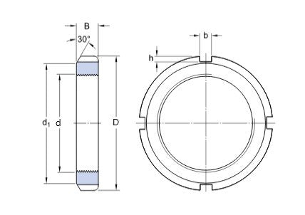 HM 46 T SKF veiligheidsmoer