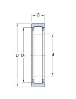 SKF RNU 202 ECP rollager