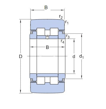 SKF PWTR 50110.2RS looprol
