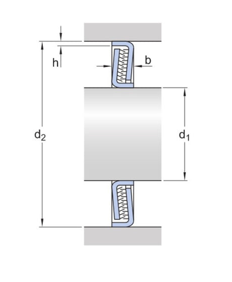 SKF Z 206 F afdichtingsring