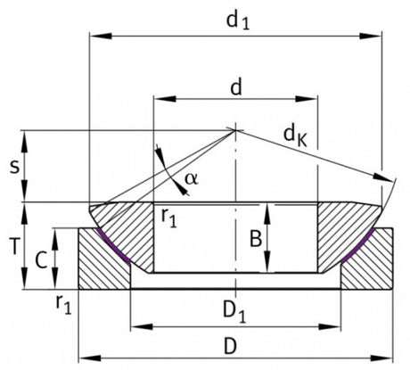 SKF GX 100 F gewrichtslager